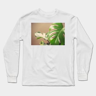 Deliciosa Long Sleeve T-Shirt